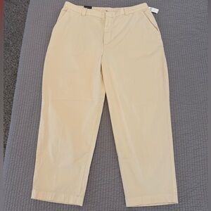 NWT Gap Khaki Twill Pants Size 16